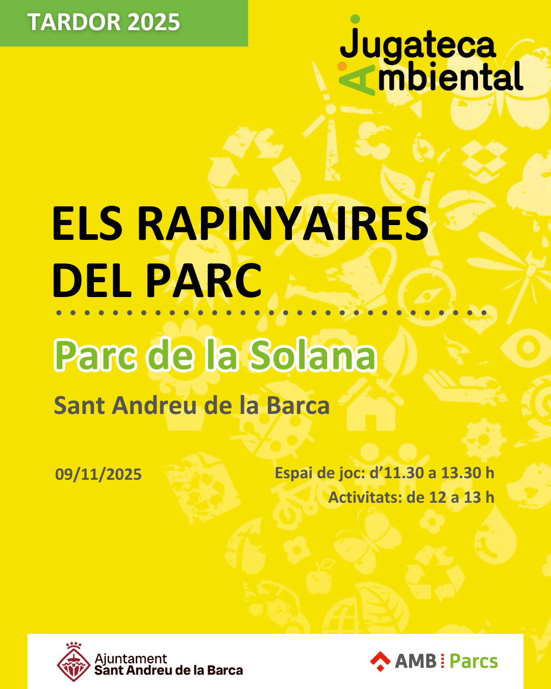 Jugateca Ambiental: Els rapinyaires del parc
